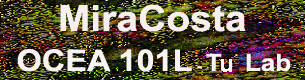 OCEA 101 MiraCosta Button