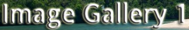 Ocean Image Gallery #1 Button