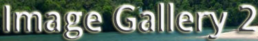 Ocean Image Gallery #2 Button