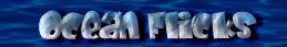 Ocean Flicks Button
