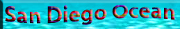 San Diego Ocean Button