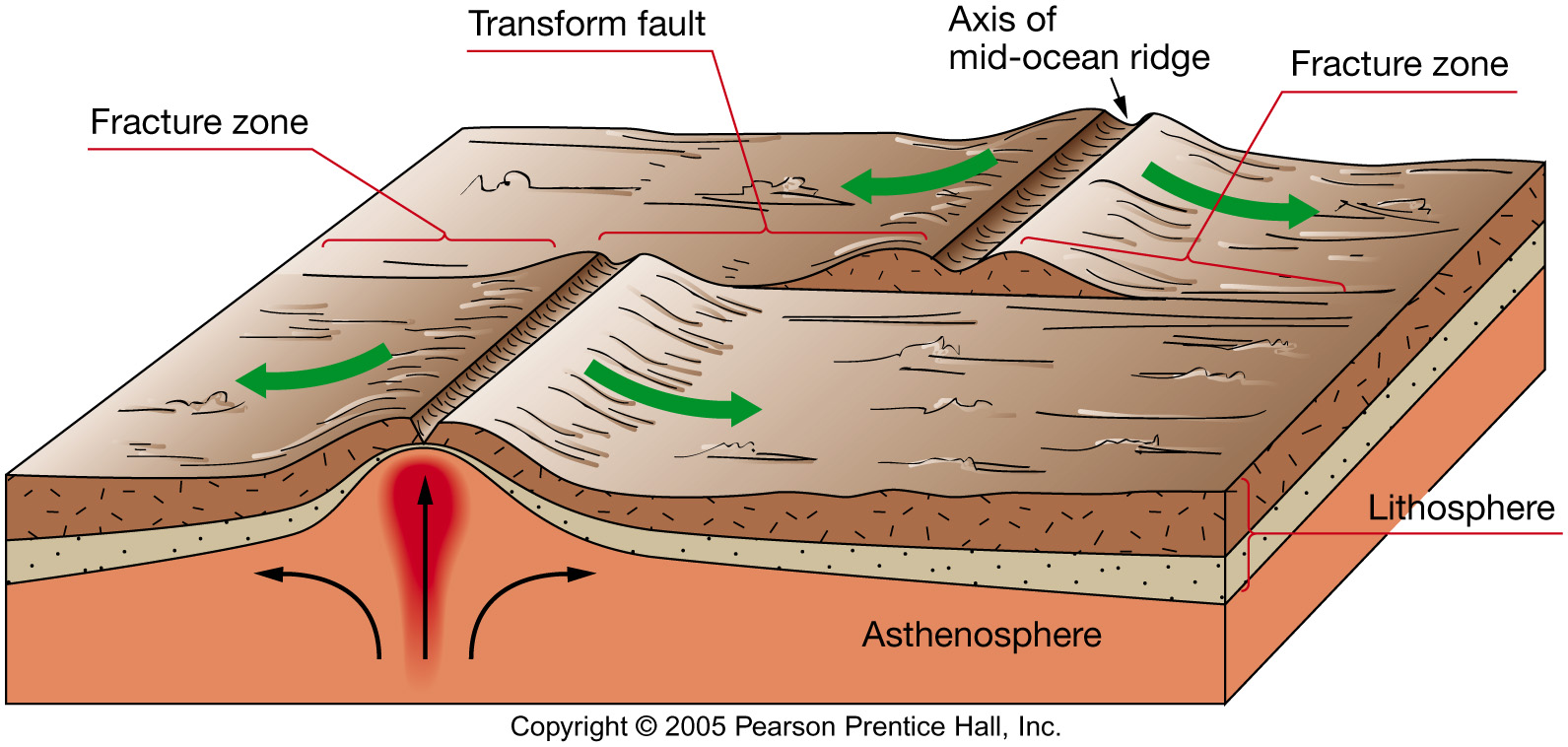 Topography of Earth’s Ocean Basin